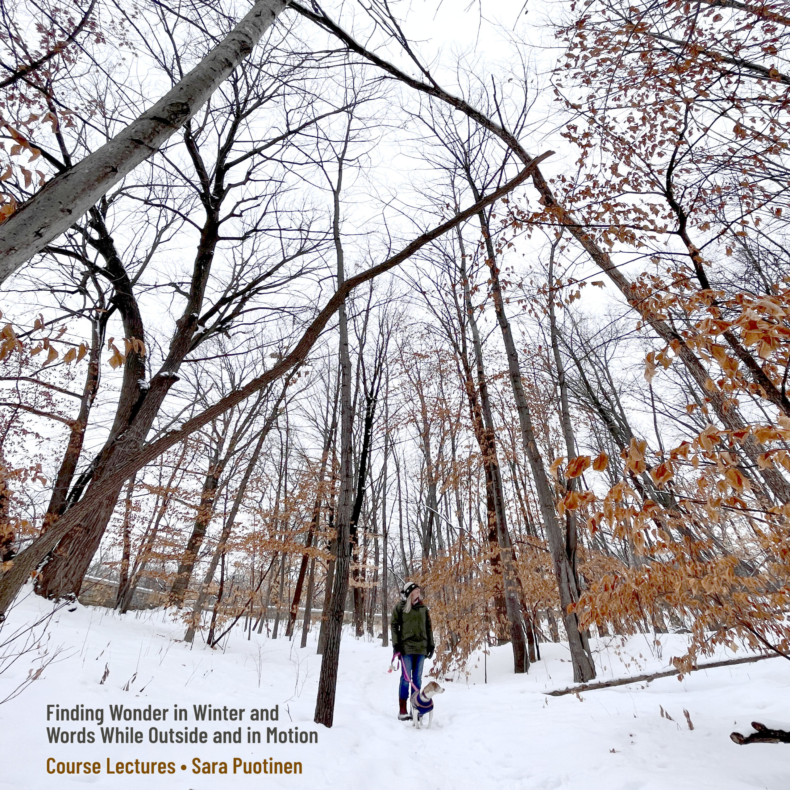 Finding Wonder in the World and the Words while Outside and in Motion